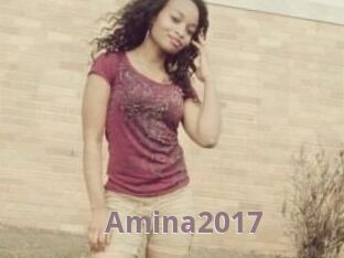 Amina2017