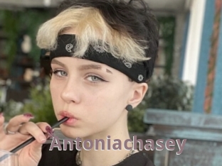 Antoniachasey