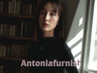 Antoniafurnish