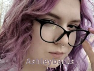 Ashleybarks