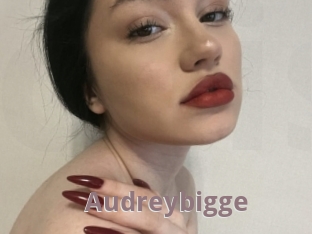Audreybigge
