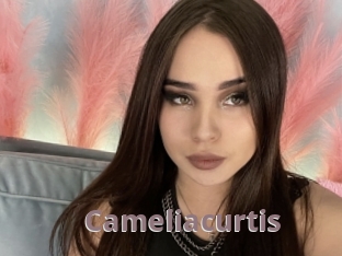 Cameliacurtis