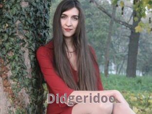 Didgeridoo