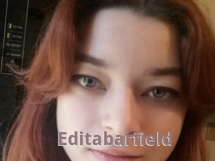 Editabarfield