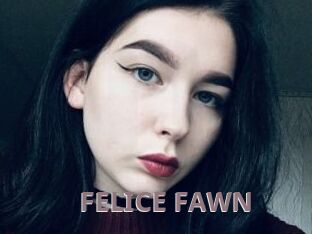 FELICE_FAWN
