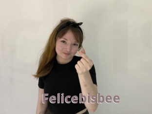 Felicebisbee