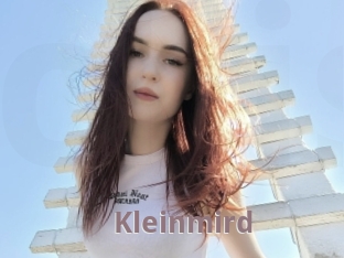 Kleinmird