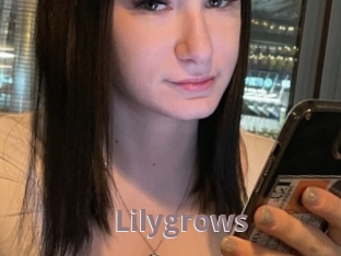 Lilygrows