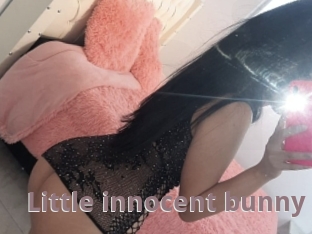 Little_innocent_bunny