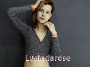 Lucindarose