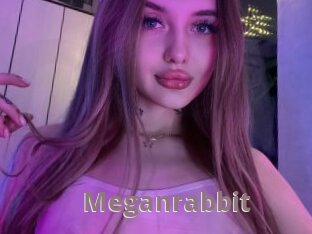 Meganrabbit