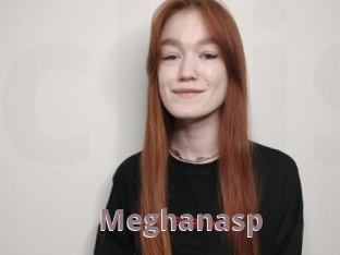 Meghanasp