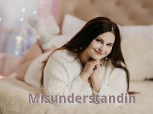 Misunderstandin