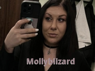 Mollyblizard