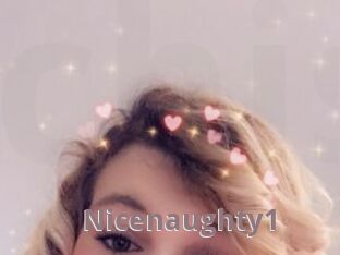 Nicenaughty1