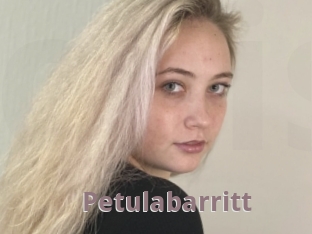 Petulabarritt