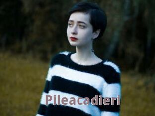 Pileacadieri