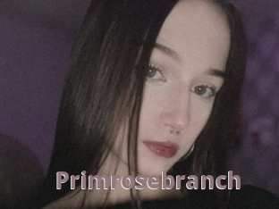 Primrosebranch