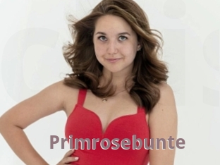 Primrosebunte