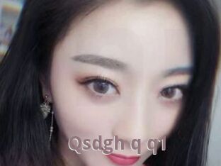 Qsdgh_q_q1