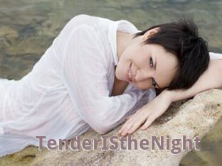 TenderIStheNight