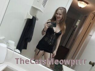 TheCatsMeowprrr