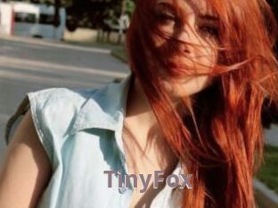 TinyFox
