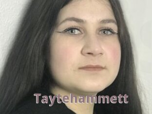 Taytehammett