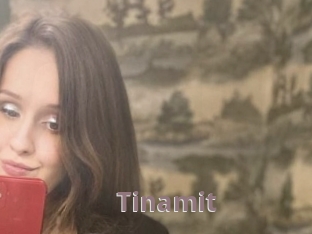 Tinamit