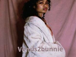 Venus2bunnie
